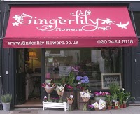 Gingerlily Flowers 282562 Image 0